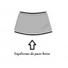 Pare-brise 7248AGS1B pour Renault Clio II (1998)