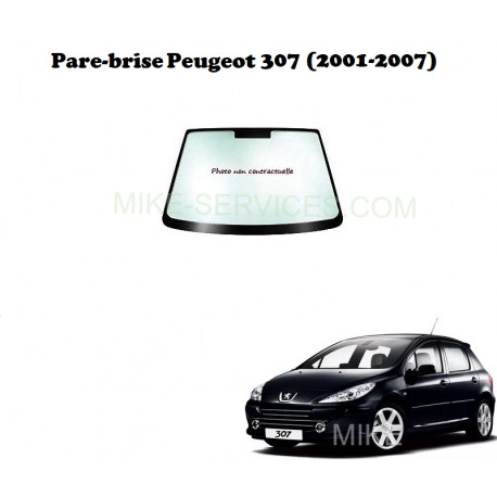 Pare-brise vert 6542AGSVZ pour Peugeot 307 (3P/5P/combi) et 307 break